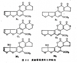 不同种类黄曲霉毒素化学结构的区别