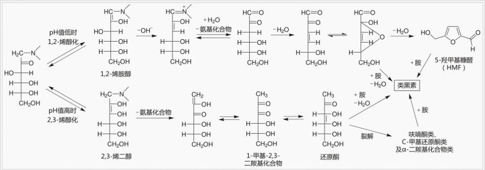 美拉德反应的中间阶段.PNG